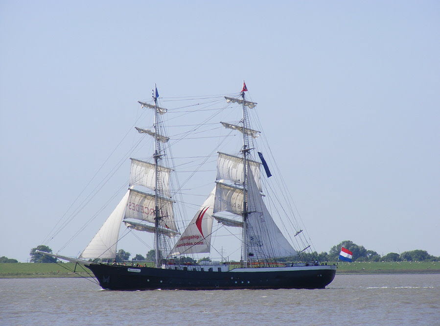 sail19